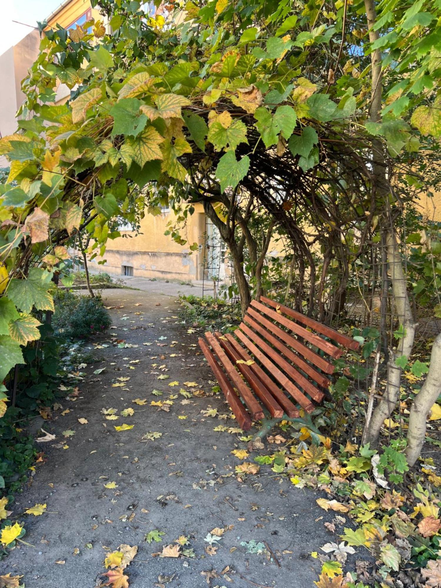 Studio Anca-Old Town Сибиу Экстерьер фото